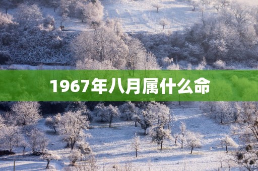 1967年八月属什么命