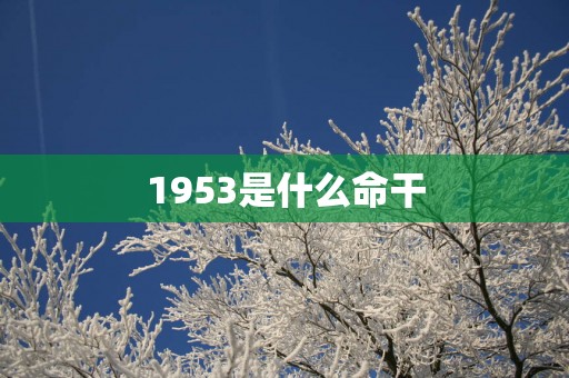 1953是什么命干
