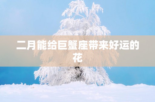 二月能给巨蟹座带来好运的花