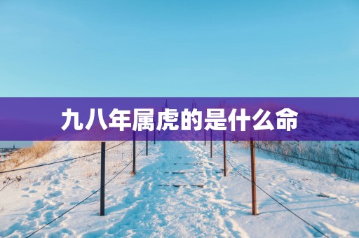 九八年属虎的是什么命