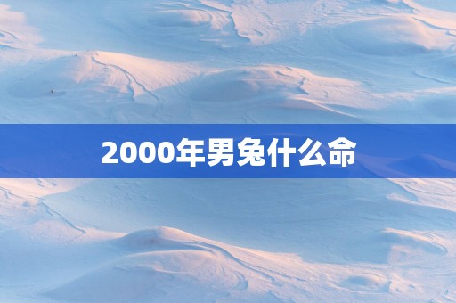 2000年男兔什么命