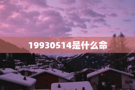 19930514是什么命