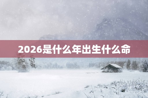 2026是什么年出生什么命