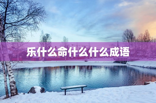 乐什么命什么什么成语