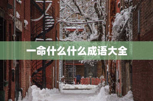 一命什么什么成语大全