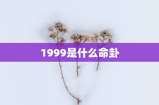 1999是什么命卦