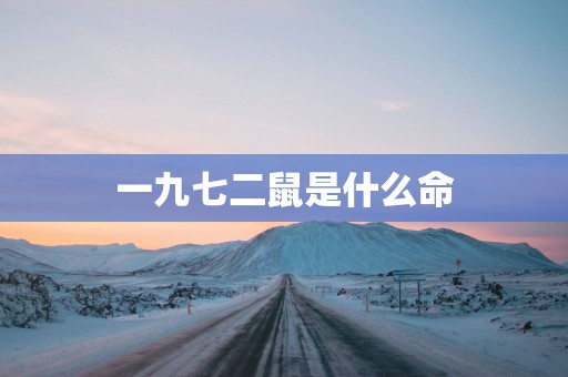 一九七二鼠是什么命