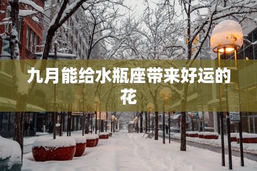 九月能给水瓶座带来好运的花