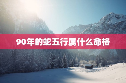 90年的蛇五行属什么命格