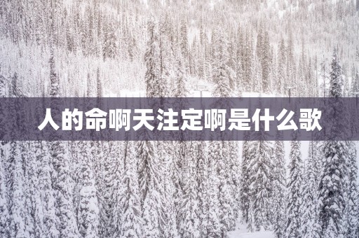 人的命啊天注定啊是什么歌