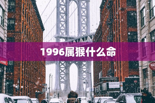 1996属猴什么命