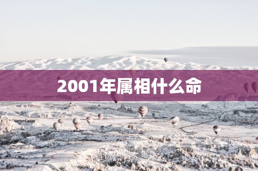 2001年属相什么命