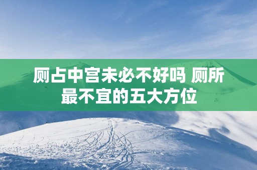 厕占中宫未必不好吗 厕所最不宜的五大方位