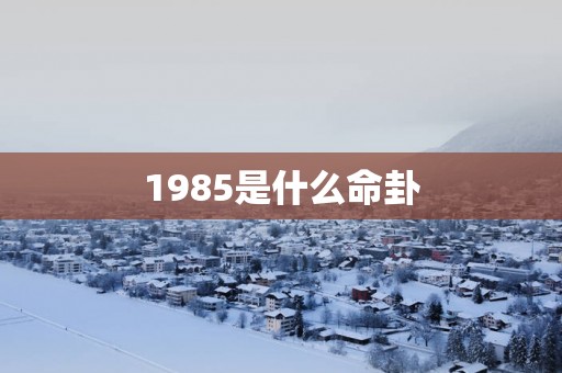 1985是什么命卦