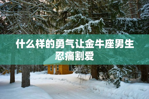 什么样的勇气让金牛座男生忍痛割爱