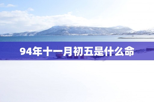 94年十一月初五是什么命