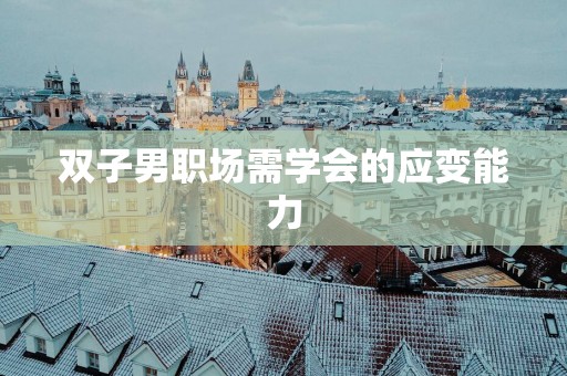 双子男职场需学会的应变能力