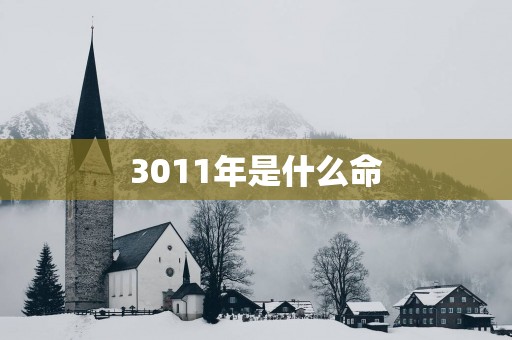 3011年是什么命