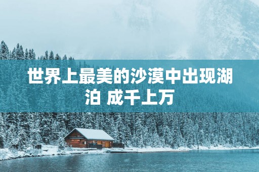 世界上最美的沙漠中出现湖泊 成千上万