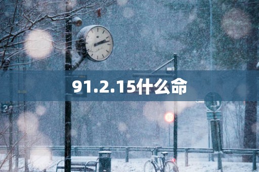 91.2.15什么命