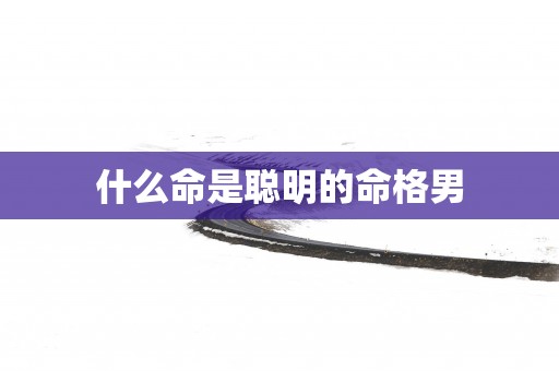 什么命是聪明的命格男