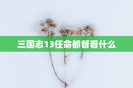 三国志13任命都督看什么