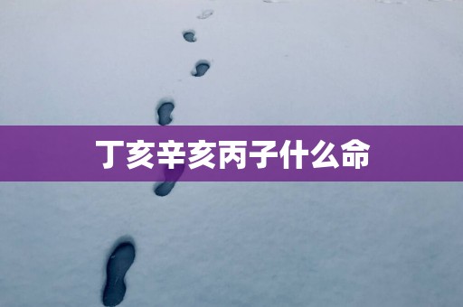 丁亥辛亥丙子什么命
