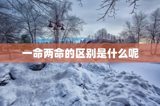一命两命的区别是什么呢