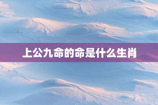 上公九命的命是什么生肖 上公九命的命是什么生肖