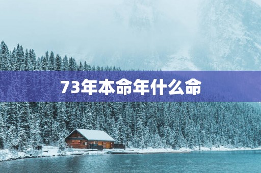 73年本命年什么命