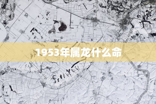 1953年属龙什么命