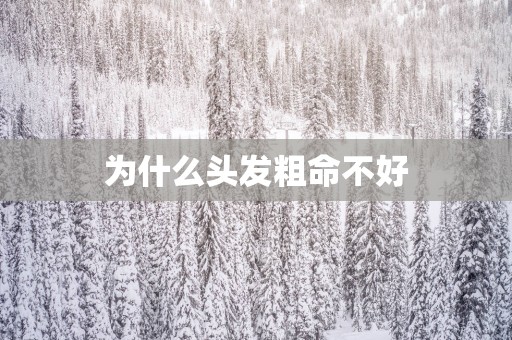 为什么头发粗命不好