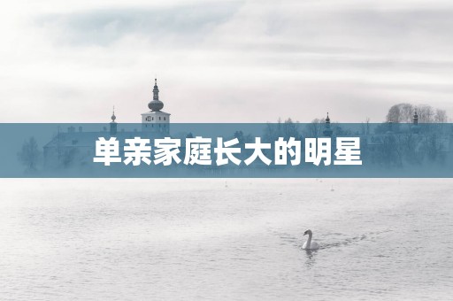 单亲家庭长大的明星