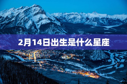 2月14日出生是什么星座