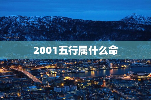 2001五行属什么命