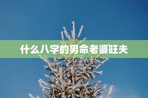什么八字的男命老婆旺夫
