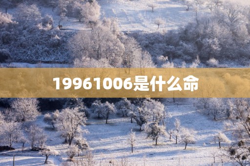 19961006是什么命