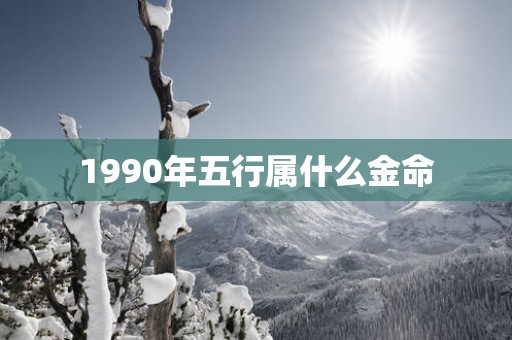 1990年五行属什么金命