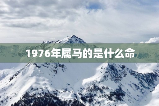 1976年属马的是什么命