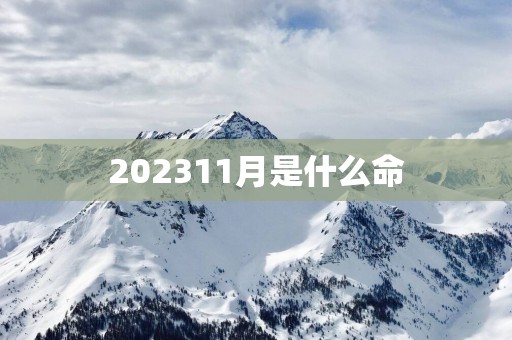 202511月是什么命