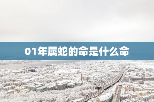 01年属蛇的命是什么命
