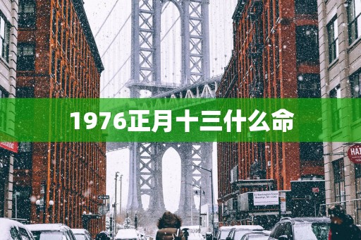 1976正月十三什么命
