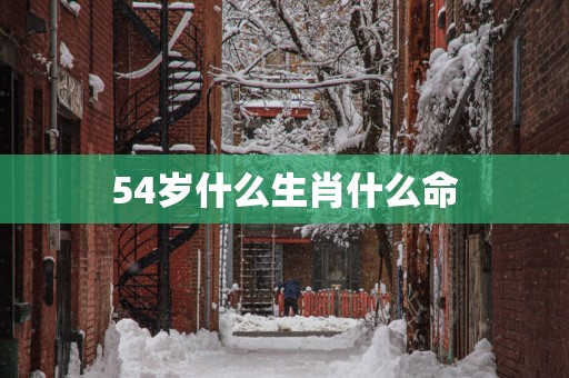 54岁什么生肖什么命