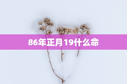 86年正月19什么命