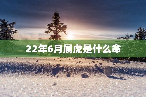 22年6月属虎是什么命