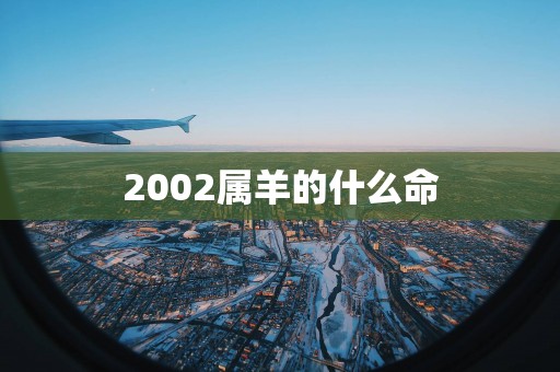 2002属羊的什么命