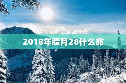 2018年腊月28什么命