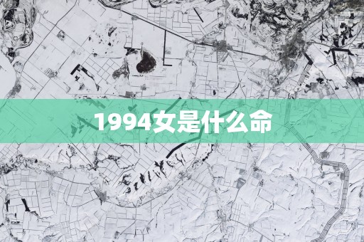 1994女是什么命