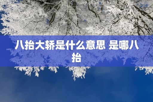 八抬大轿是什么意思 是哪八抬
