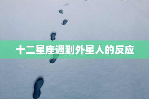 十二星座遇到外星人的反应